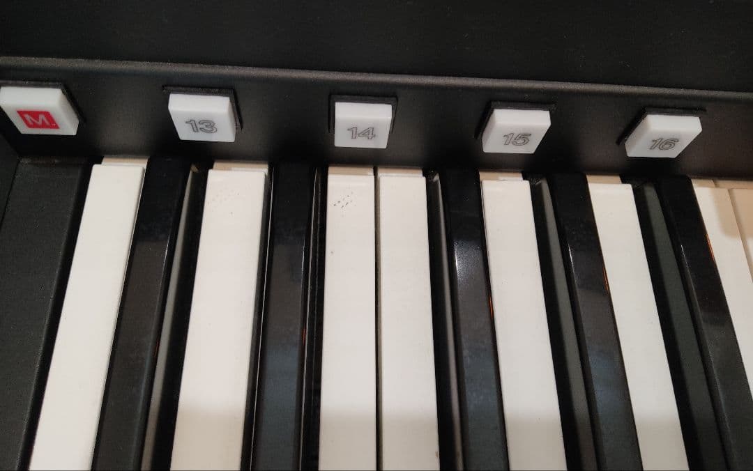 Keyboards Digital Pianos Yamaha Els-02