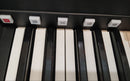 Keyboards Digital Pianos Yamaha Els-02