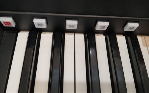 Keyboards Digital Pianos Yamaha Els-02