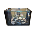 Kotobuki Glass Aquarium