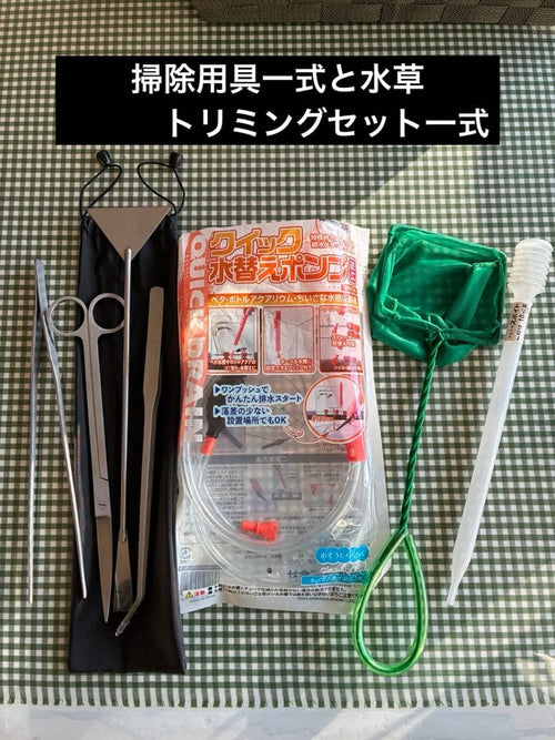 Kotobuki Glass Aquarium