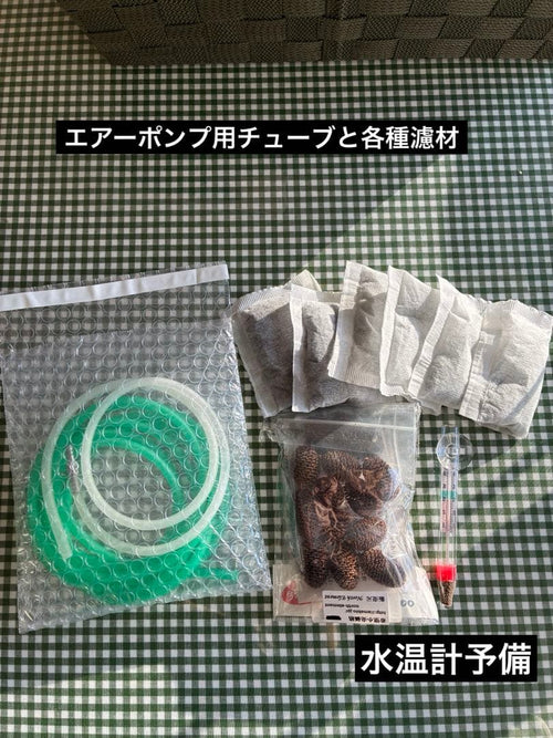 Kotobuki Glass Aquarium