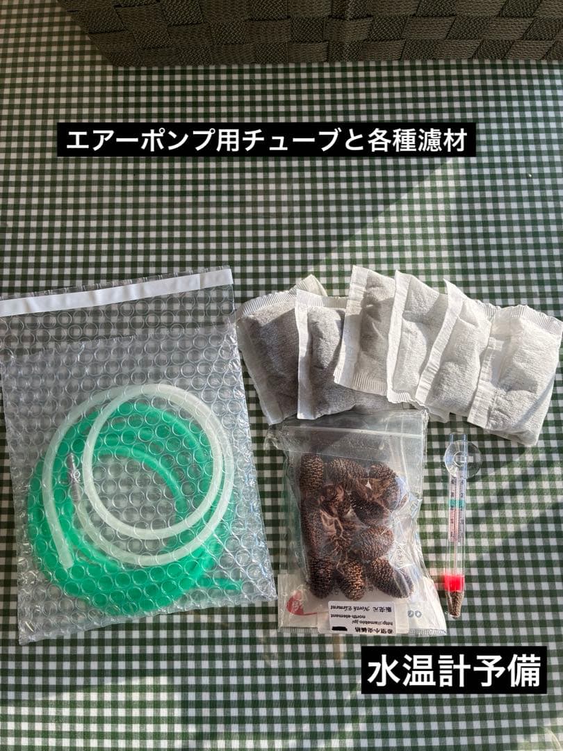 Kotobuki Glass Aquarium