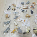 Other Neargo Collection 30