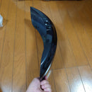 Kawasaki Cowls Fenders 1200R