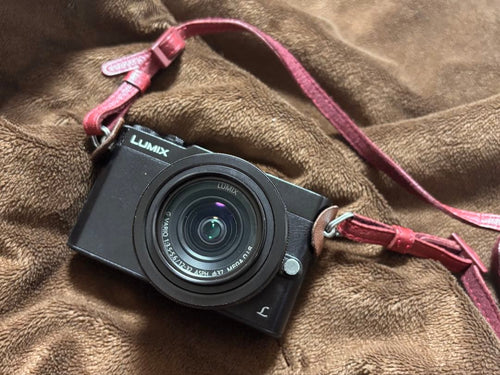 Panasonic Mirrorless Interchangeable Lips Lumix Dmc-Gm5-K