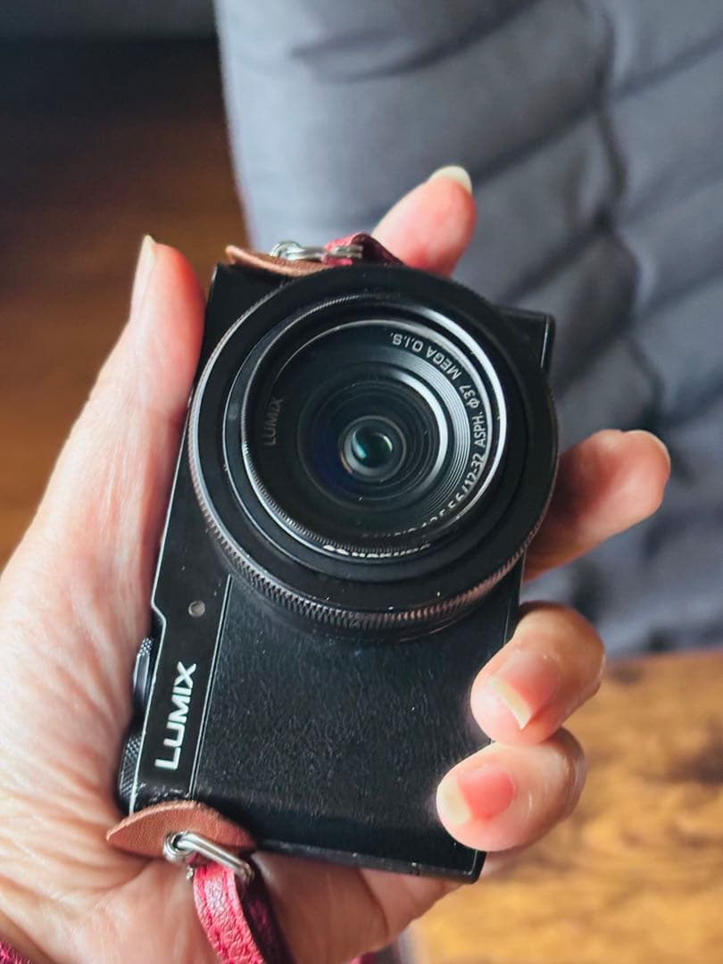 Panasonic Mirrorless Interchangeable Lips Lumix Dmc-Gm5-K