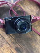 Panasonic Mirrorless Interchangeable Lips Lumix Dmc-Gm5-K