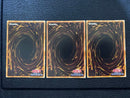 Yu -Gi -Oh! Ocg Duel Monsters 3 Lv10