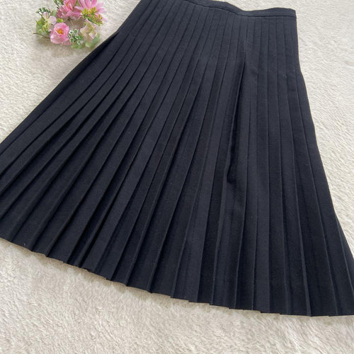 Fendi Pleated Skirts L