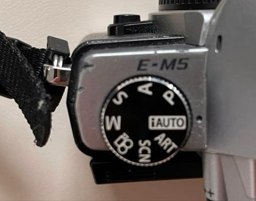 Olympus Mirrorless Interchangeable Lens Cameras Om-D