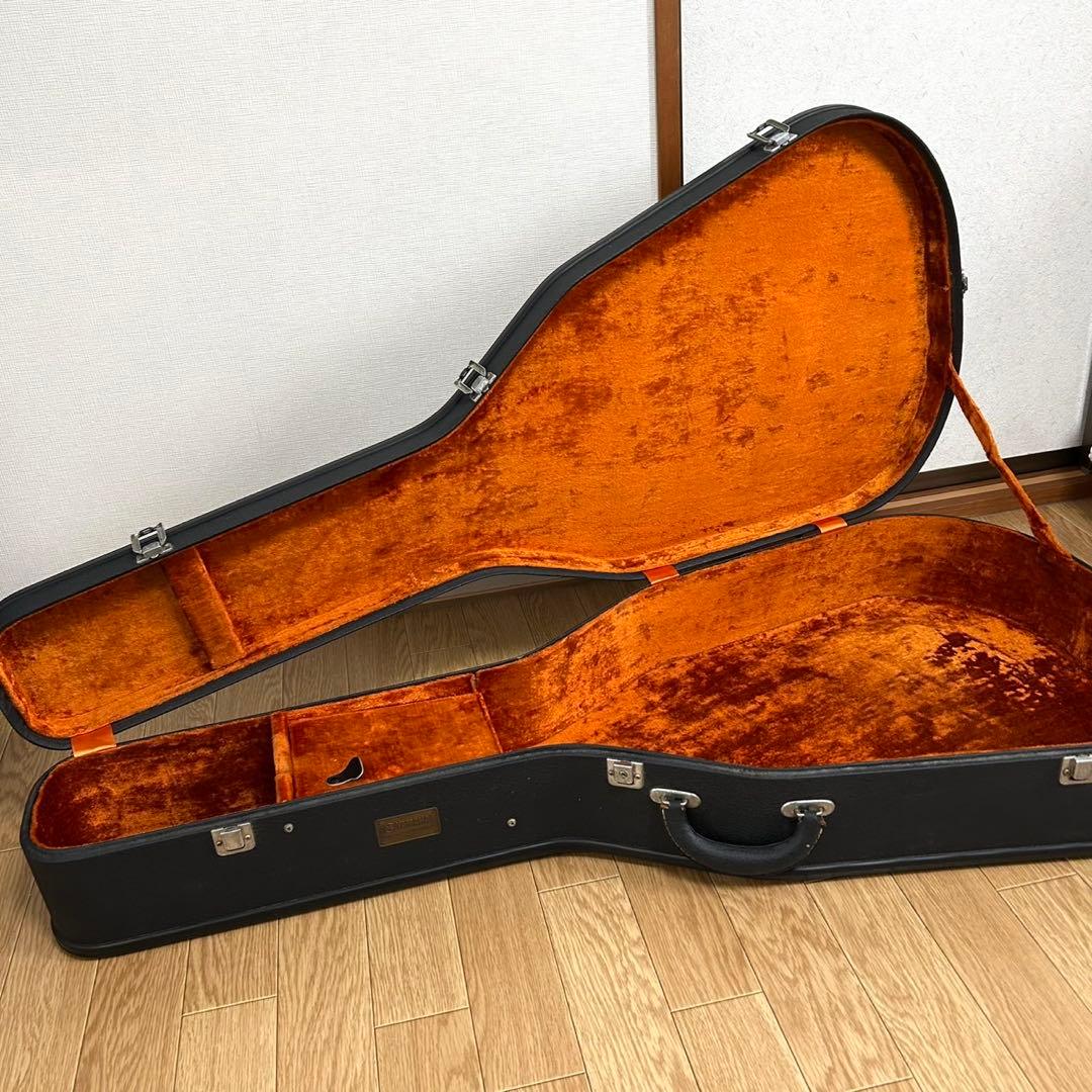 Yamaha Guitar Cases