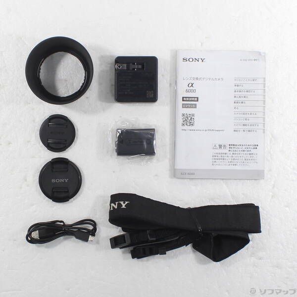 Sony Mirrorless Interchangeable Lips 6000 Ilce-6000Y 196