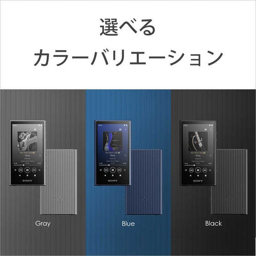 Sony Others Walkman A [64Gb/2023 Nw-A307 Lc