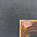 Yu -Gi -Oh! Ocg Duel Monsters (Foreign Language Version) Vwxyz