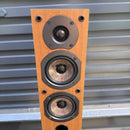 Onkyo Speakers D-105F