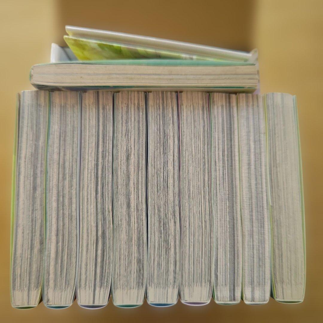 Seinen Manga Box