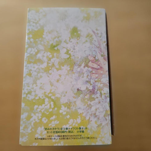 Seinen Manga Box