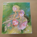 Seinen Manga Box