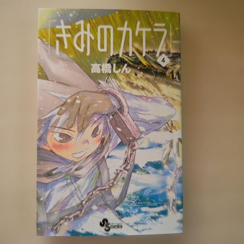 Seinen Manga Box