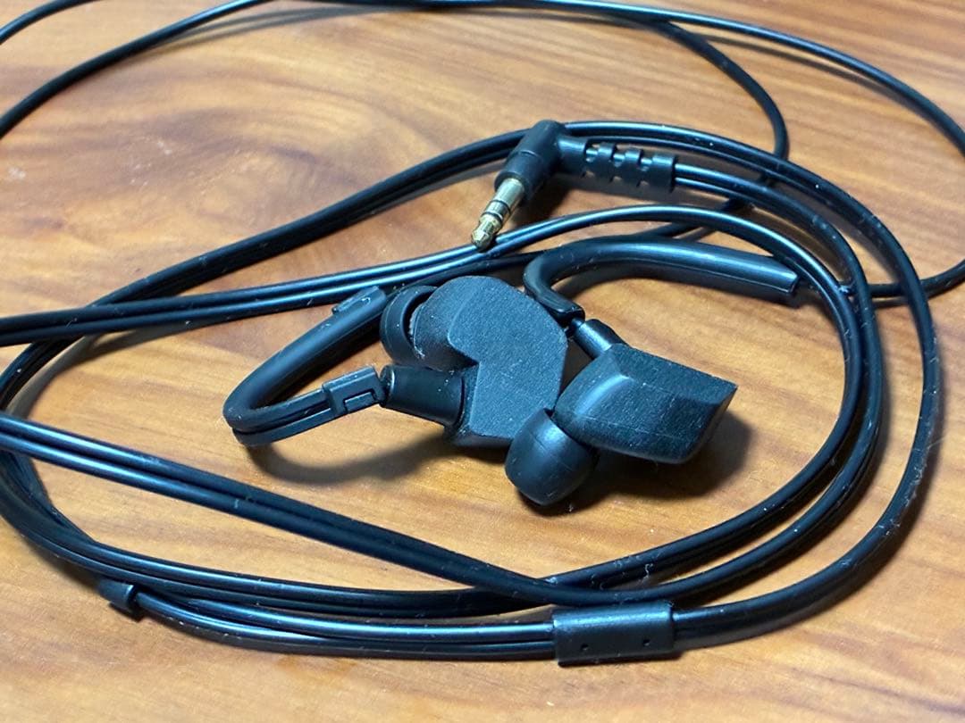 Final Wired Earphones A3000