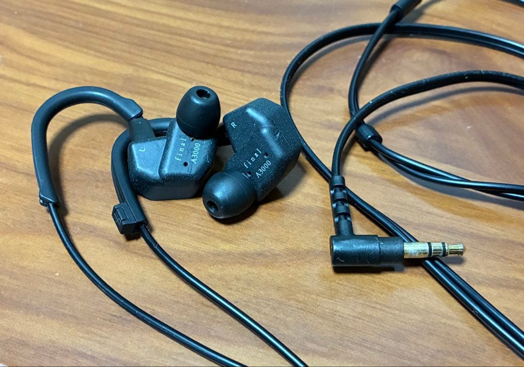 Final Wired Earphones A3000