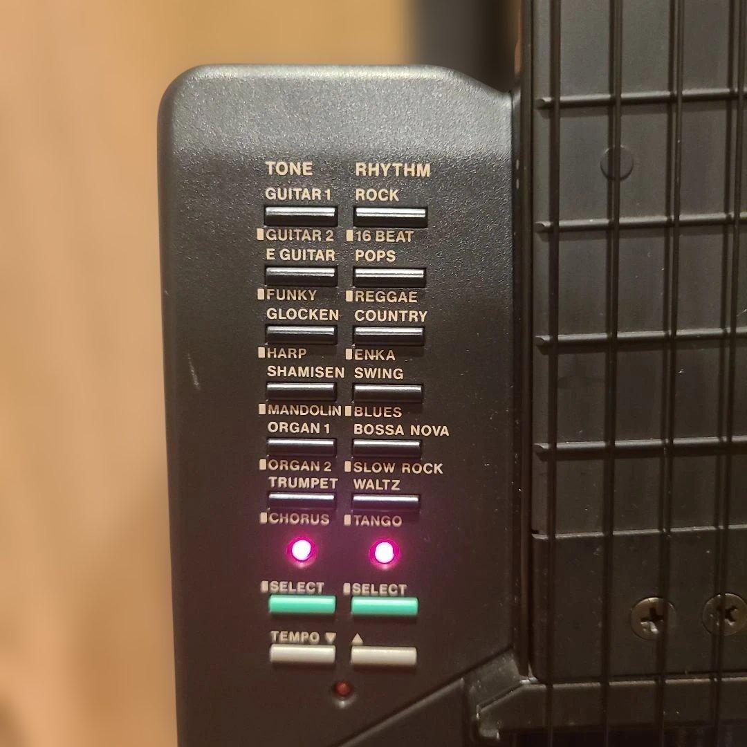 Casio Others Dg-1