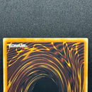 Yu -Gi -Oh! Ocg Duel Monsters (Foreign Language Version) 1St