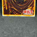 Yu -Gi -Oh! Ocg Duel Monsters (Foreign Language Version) 1St