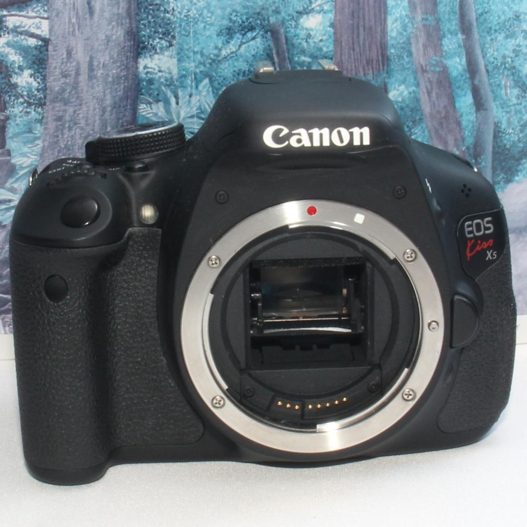 Canon Digital Slr Eos Kiss X5