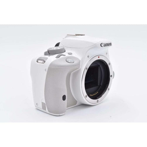 Canon Digital Slrs Kiss X7