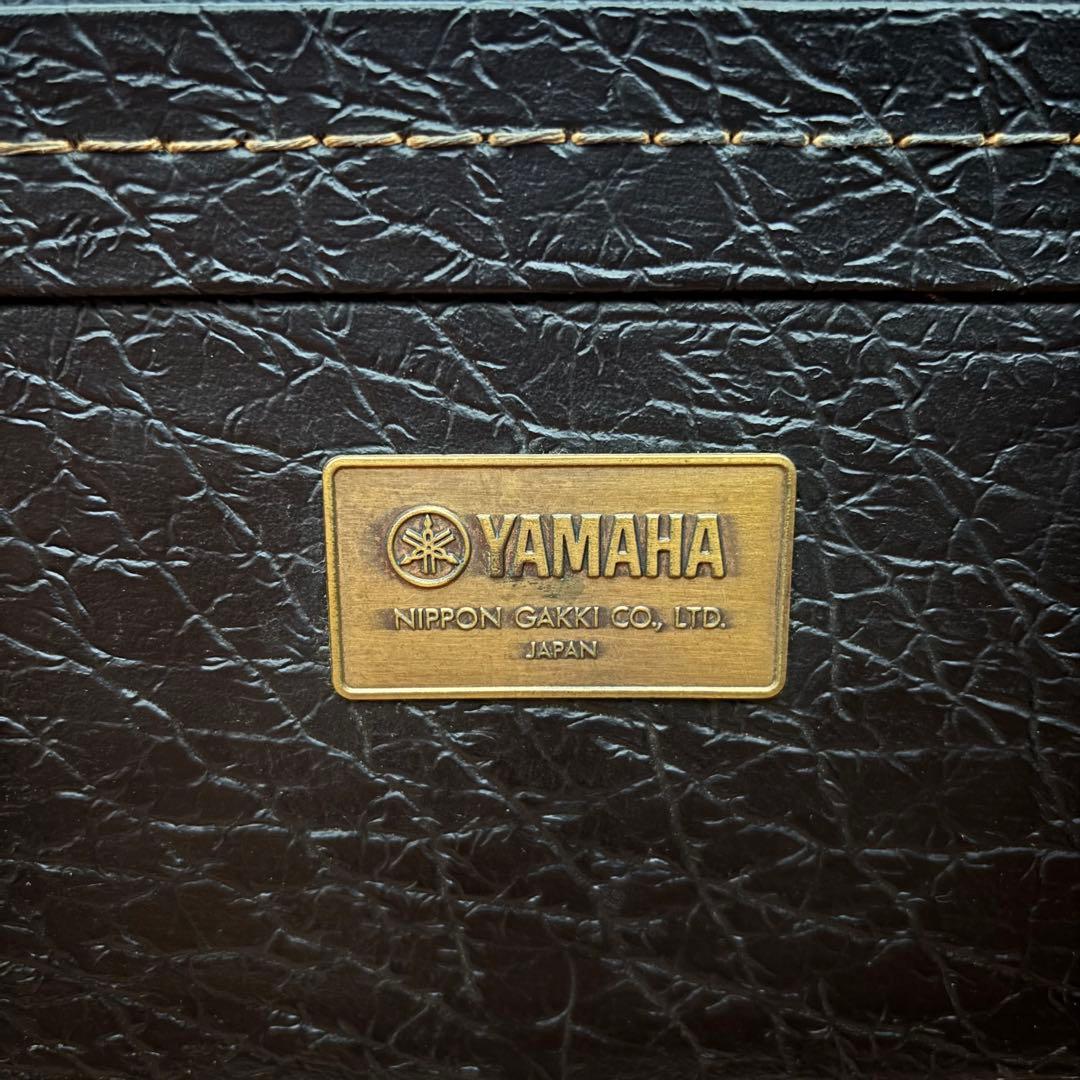 Yamaha Acoustic Guitars Fg-230 12