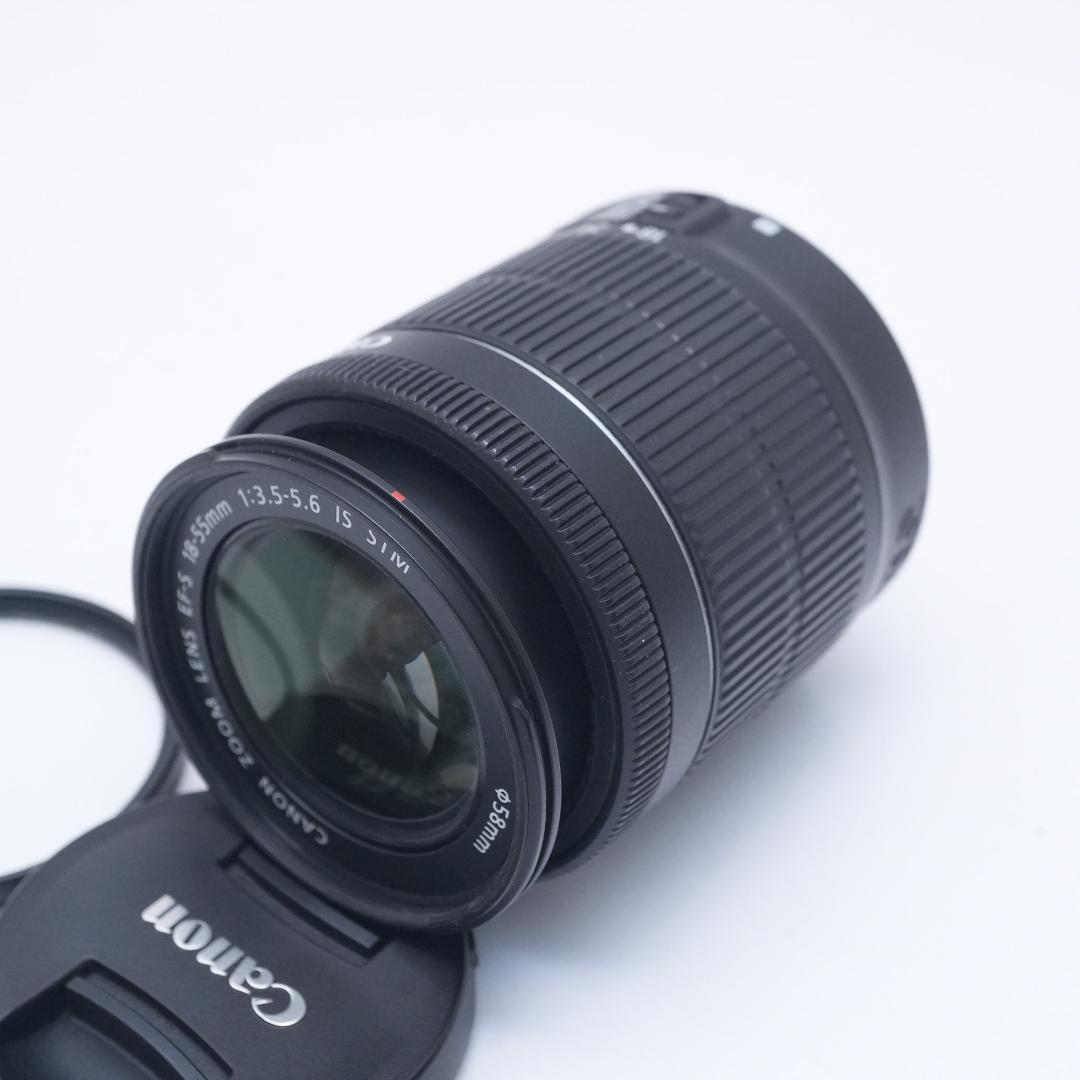 Canon Zoom Lenses Ef-S18-55Mm 3.5-5.6 Is Stm