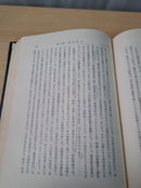 Literature Novel