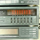 Technics Mini Component Systems Digital Link D5000 3