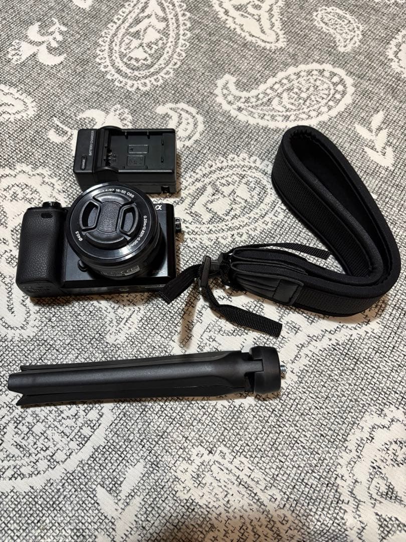 Sony Mirrorless Interchangeable Lens Cameras 6000 1421