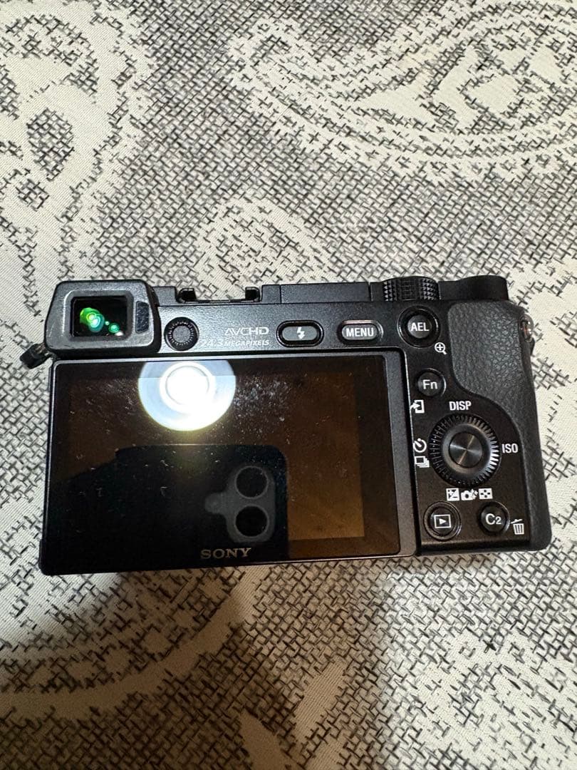 Sony Mirrorless Interchangeable Lens Cameras 6000 1421