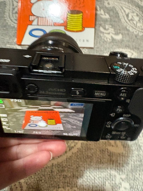 Sony Mirrorless Interchangeable Lens Cameras 6000 1421