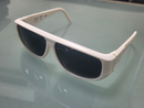 Nikon Sunglasses Southern Wind