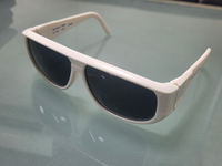Nikon Sunglasses Southern Wind