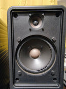 Yamaha Stage Monitor Speaker Ms20S