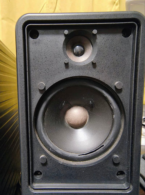 Yamaha Stage Monitor Speaker Ms20S