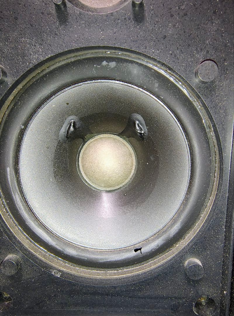 Yamaha Stage Monitor Speaker Ms20S
