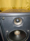 Yamaha Stage Monitor Speaker Ms20S