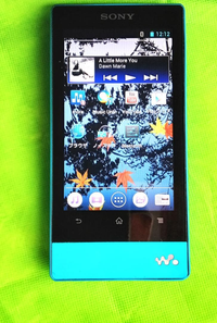 Sony Digital Audio Player F 806 32Gb