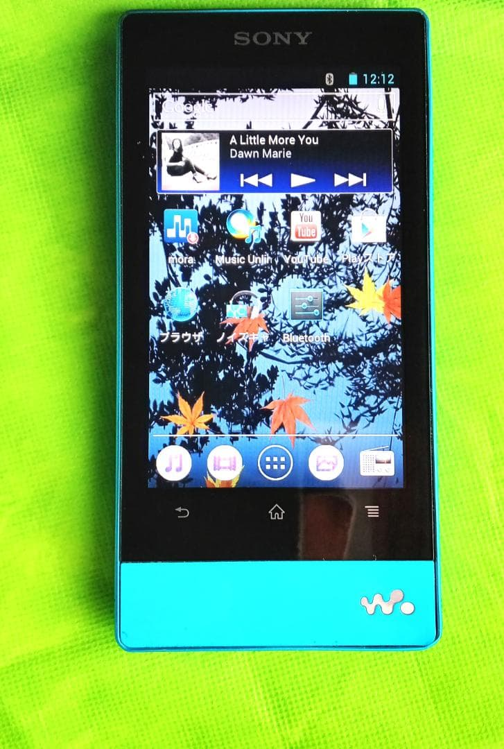 Sony Digital Audio Player F 806 32Gb