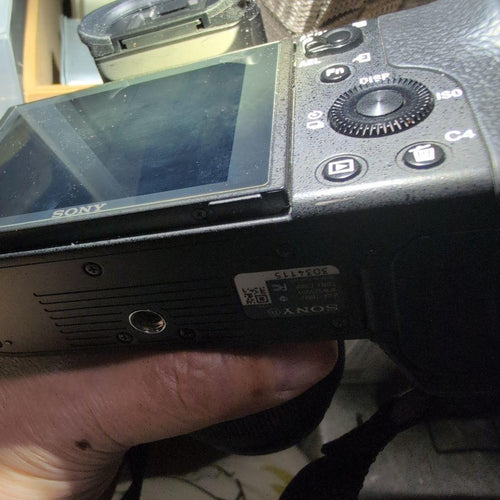 Sony Digital Slrs 7R Ii