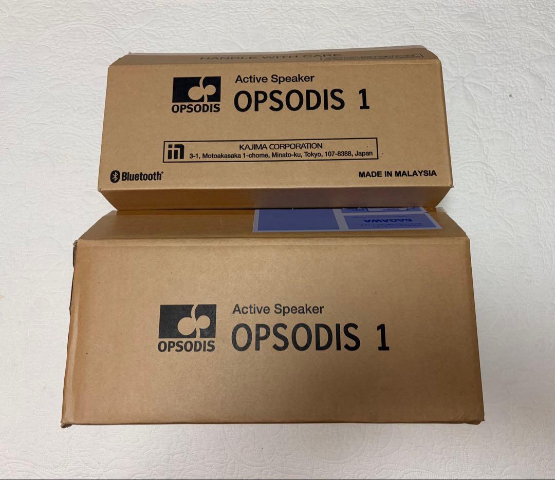 Wireless Speakers Opsodis 1