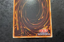 Yu-Gi-Oh! Ocg Duel Monsters (Japanese)