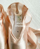 Pointe Shoes 6